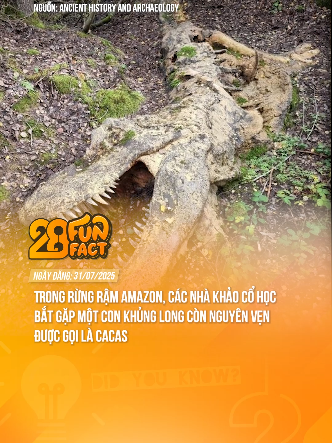 TRONG RỪNG AMAZON, CÁC NHÀ KHẢO CỔ BẮT GẶP KHỦNG LONG CÒN NGUYÊN VẸN  #theanh28 #theanh28funfact #tiktoknews #theanh28news