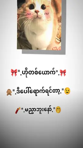 မညှာ ဘူး..🤪🤭#mtခေါ်ကြကွာ😁😝💖 #cmဖြေပေးခဲ့ကြအုန်းခင်ရင်၊ #မူရင်းcrdပေးပါတယ် #ရောက်စမ်းfypပေါ်😒myanmartiktok #linkသုံးတဲ့ကောင်လေပါ #alightmotion_edit #fyp #fyp #fyp #fyp #fyp #fyp #fyp #fyp #fyp #fyp #fyp #fyp #fyp #fyp 