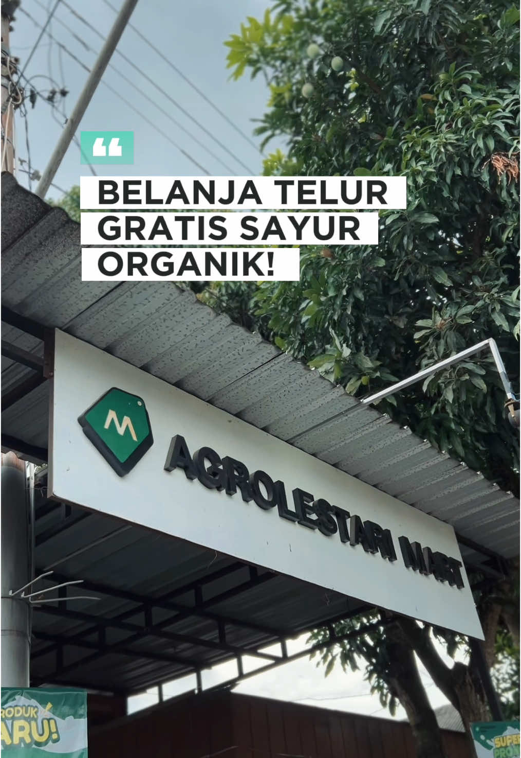Lagi belanja telur… eh, tiba-tiba dikasih sayur organik gratis?! Yes, kamu nggak salah baca! Di Agrolestari Mart, ada promo spesial buat kamu yang doyan sehat dan hemat. Telurnya fresh, sayurnya organik, dompet tetap happy. 😍 🎉 PROMO SPESIAL: 🔖 Diskon 10% setiap pembelian minimal 60 butir 🚚 Gratis ongkir SE-Yogyakarta 🛒 Stok terbatas, jangan sampai kehabisan! 📍Agrolestari Mart | Ngaglik 📍Agrolestari Mart 2 | Sonosewu ☎️ 0882-2415-6507 Outlet Ngaglik Senin–Sabtu: 08.00–19.00 Minggu: 08.00–16.00 Outlet Nitipuran Senin-Sabtu: 08.00-16.00 Minggu: Libur #AgrolestariMart #BelanjaSehat #PanganSehat #ProdukLokal #PetaniLokal #PeternakLokal #FarmToTable #DariPeternakanKeMejaMakan #SusuSegarJogja #TelurSehat #FrozenFoodJogja #GayaHidupSehat #BelanjaMudah #MakananSehat #HealthyLifestyle #jogjasehattetapdirumah 