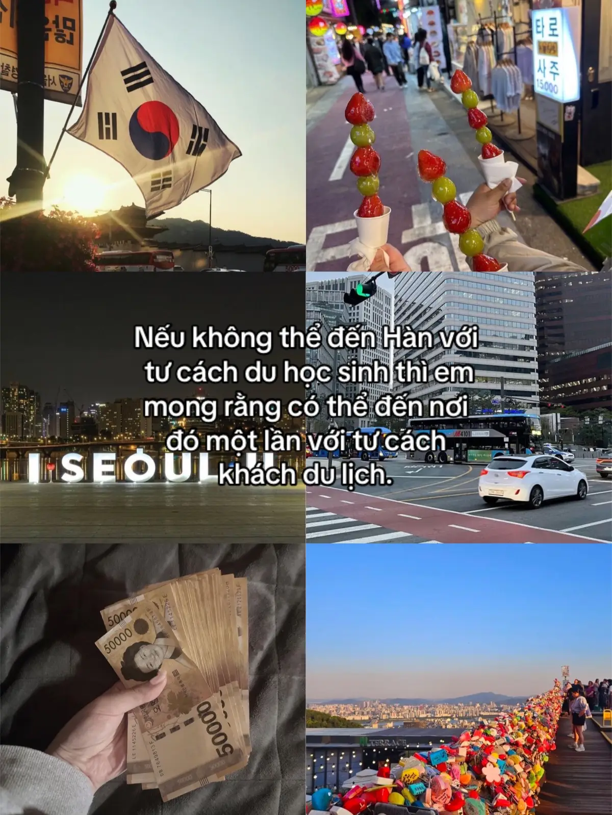 #hanquocchotoinhe🇻🇳✈️🇰🇷 #hanquocnoicothanhxuancuatoi #hanquoc한국 #emiuhan #daihandanquoc #yonsei #yonseiuniversity #uocmocuato #cogangmoingay💪 #viral #xhtiktok #xhuong 