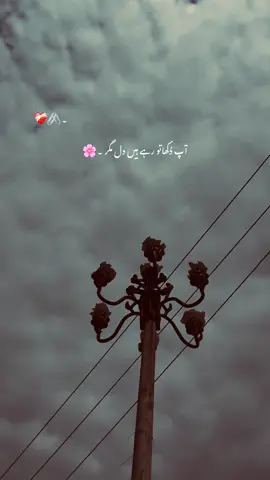 Repost 😖 #1millionaudition #easthetic #foryou #poetrystatus #foryoupage #fypp #dopalpoetry @TikTok 