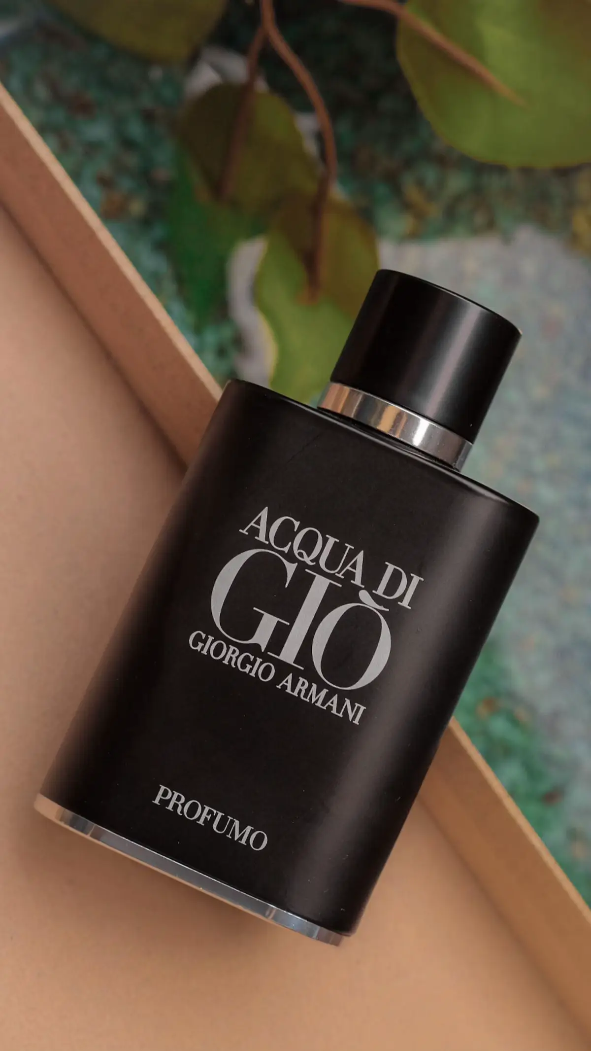 🌟Acqua Di Gio Profumo🌟 Acqua di Giò Profumo by Giorgio Armani, released in 2015 and composed by Alberto Morillas, is not just a reinterpretation of the original—it’s a complete evolution. Where the classic Acqua di Giò offered light, sun-soaked freshness, Profumo introduces depth, contrast, and a quiet, confident masculinity. The opening is immediate and striking. Fresh aquatic notes surge forward with cool, mineral clarity, like ocean spray hitting dark stone at dusk. Bergamot cuts through with a clean citrus bite, bright but never playful. There’s a controlled spice tucked beneath this freshness, subtle yet purposeful, grounding the brightness with tension and maturity. It’s a crisp beginning that promises more than just cleanliness—it signals intention. As the top softens, the fragrance moves into its aromatic heart. Rosemary and sage take center stage, dry, green, and unmistakably masculine. They feel polished, almost tailored—sharp without being aggressive. Geranium floats in the background, adding lift and a faint floral clarity, never powdery, never sweet. It smooths the herbal edges without softening their character, lending a sense of composure and poise. Then the drydown begins, and everything changes. Frankincense rises slowly—dry, smoky, and meditative. It’s not church-like in the traditional sense, but it does feel sacred. A kind of inner stillness surrounds it. Patchouli joins soon after, deep and earthy, adding warmth and texture beneath the airy incense. This base transforms the fragrance from an aquatic into something elemental—salt, smoke, stone, and earth. The sea remains, but now it’s colder, more distant, framed by shadows instead of light. Projection is moderate, with a trail that lingers in the air without ever overwhelming it. It stays close, but it speaks clearly. Longevity sits comfortably in the eight to ten hour range, though it fades slowly and gracefully rather than vanishing. The scent evolves gently on skin, shifting from fresh and herbal to something darker, more introspective. What sets Acqua di Giò Profumo apart is its restraint. It doesn’t shout. It doesn’t try to be trendy. Instead, it refines familiar elements—marine notes, herbs, incense—and arranges them with precision. Freshness is balanced by smoke. Herbs are softened by florals. Depth is introduced without heaviness. Wearing Profumo feels like stepping into a darker room within a familiar house. You recognize the structure, but the atmosphere has changed. It’s cooler, quieter, and more composed. For those who loved the original but outgrew its brightness, this is the natural progression. It’s Acqua di Giò, but in a tailored black suit. #acquadigioprofumo #giorgioarmani #freshbutdark #aquaticfragrance #mensfragrance #perfumetok #nichevibesdesignerscent #fragranceblogger #perfumecontent #armaniaddict #fragranceaesthetic #signaturefragrance #deepfresh #masculineperfume #olfactoryjourney 