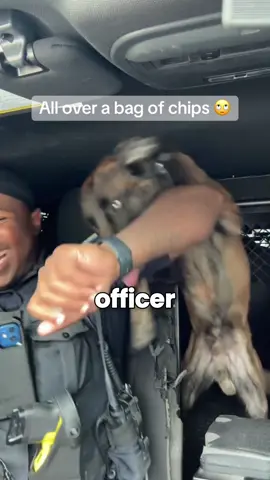 His dog is super silly