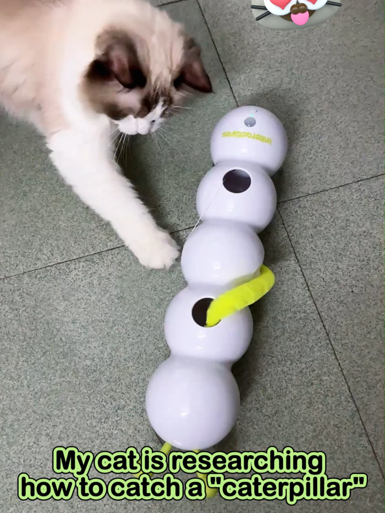 Intelligent induction caterpillar toy #petlovers #catslover #petlover #pets #catvideo #cats #puppy #cat #catlover  #catvideos #cattoys #funnytoys #tiktok #fyp #toys #tiktokshop