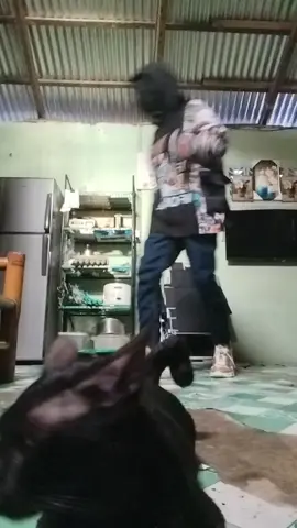 ???#tiktok #fyp 