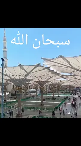 #Zahidaparveen031 #beshak #kohi #shak #nei #subhanallah #😭😭😭 #🤲🤲🕋🕋🤲🤲 @Zahid Naseer @M Shairazi Guhmman M @نور المدینہ🌹🌹🌹 @Ahmed bhai ❤️ @Hooria Api Official @Rishta 4 Come #foryoupage #videoviral #likeshere 