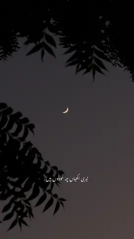 #fyp       by:@Raafay Israr 