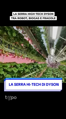 Dyson porta la sua ingegneria in serra: ruote giganti, robot e biogas per produrre fragole britanniche tutto l’anno con una resa del 250% superiore alle serre tradizionali 🍓 #dyson #serra #tech