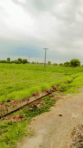 #foryoupage #😃💖💖💖💖💖🥰Bhutta #♥️♥️♥️♥️♥️👌👌👌👌🥰🥰🥰🥰🥰💖💖💖💞💞💞😍😍😍👌👌👌💙 