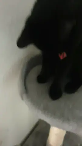 she can see it now 