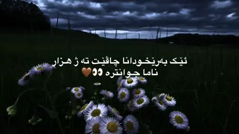 12:50🖤#fyp #foryou #اعادة_النشر🔃 #zakho_duhok_hawler_slemani_akre #A_H_M_A_D🖤🙂‍↔️ 