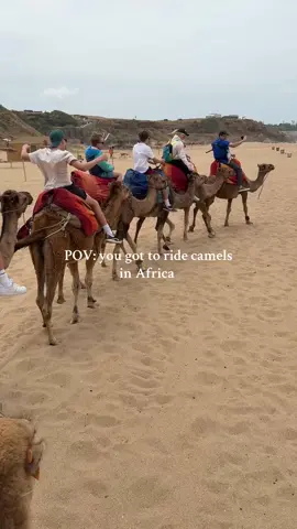 This was SUCH an amazing experience, I'll never forget it 🐫🇲🇦🌍#africa #morocco #fyp #camel #camelride #camels #ridingcamels #travel #Summer 