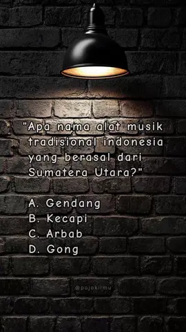 Alat musik sumatera utara...? #vidioviral #tiktok #fyppppppppppppppppppppppp 