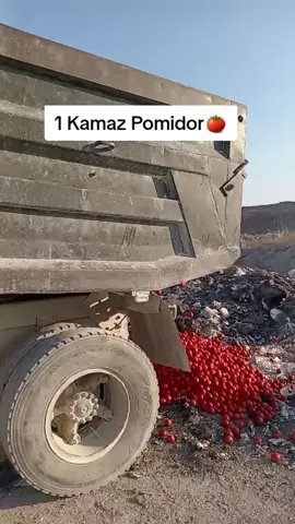 #xacmaz #xacmazlilar #pomidor #azerbaycankesfet #kesfet #xeber #2025 #31iyul #kesfetteyiz #spacetv #xeberlerbugun 