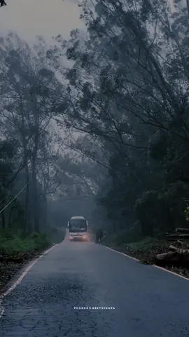 මේ දවස්වල නුවරඑළිය 🖤🌧 . . . #travel #creatorsearchinsights #trending #feelings #nuwaraeliya #vibes #rainyday 