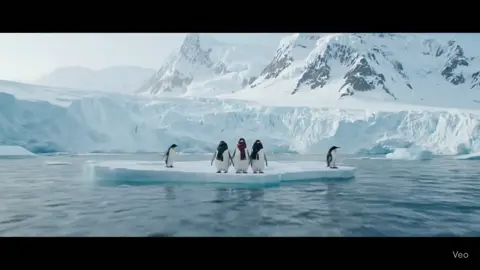 “Cold Front: The Ice Floe Rebels” #FYB #penguins #tiktokanimals #coldfront #cinematicpenguins #frozenscene #surrealwildlife 