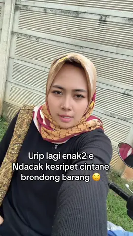 Hahaha ben awet nom hayo sopo kui 😄