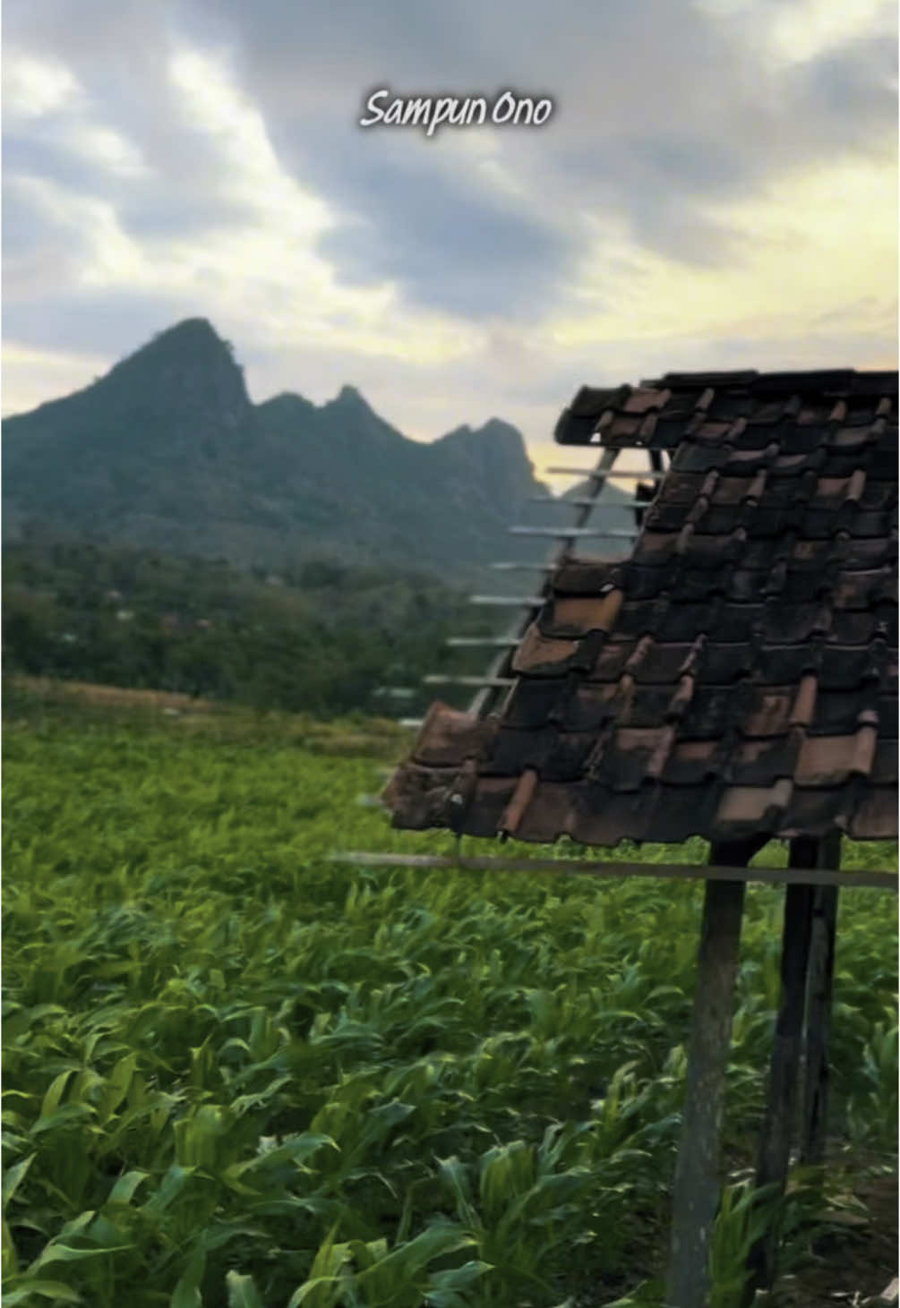 Lagune cuandu poll, kapan rilis mas @Sadewok004 ??  #liriklagujawa #liriklagu #sadewok #ngapuntenesaestu #gunungbayangkaki #viewgunung #sunset 
