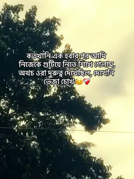 কেউ দেখেনি ❤️‍🩹 #fyp #foryou #foryoupage #statusvideo 