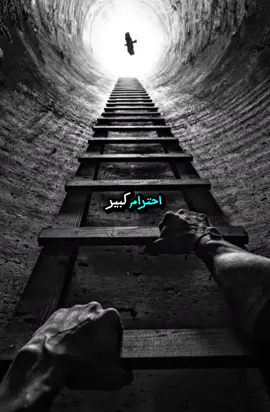 استاذي العزيز غريب ابوزيد #اشرف_عيسى #اقوال #الشعب_الصيني_ماله_حل😂😂 #whatsappstatus #اقتباسات #خواطر #كلام_من_القلب 