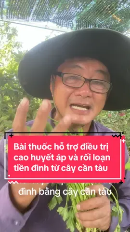 Bài thuốc dân gian hỗ trợ điều trị rối loạn triền đình cao huyết áp từ cây cần tàu#baithuocdangian 