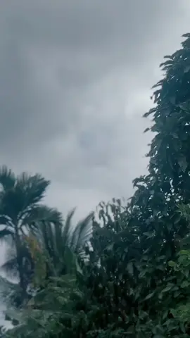 @saini meulaboh 