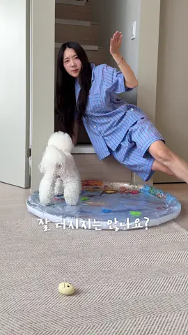 영상 찍다보면 현타 안오냐구요? …..오는데용