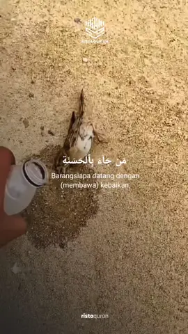 ⚠️ Baca tafsirnya ⬇️  Allah ﷻ mengabarkan tentang pelipatgandaan karuniaNya dan kesempurnaan keadilanNya, seraya berfirman,  