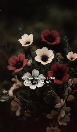 Đời trao cho anh 4 chữ  Cơm áo gạo tiền #tamtrang #cuocsong #xh 