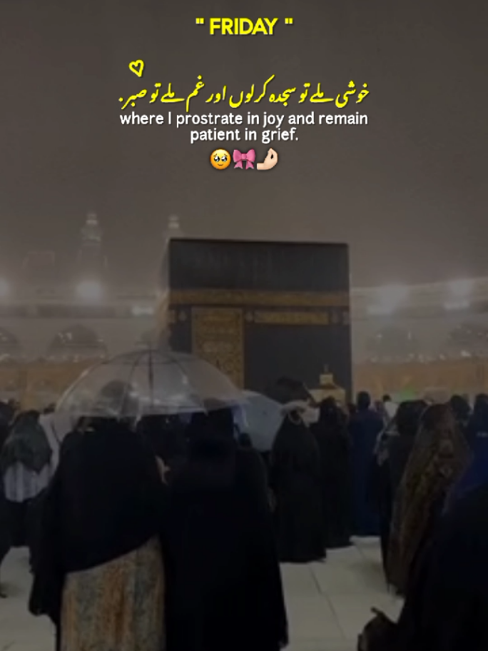 Ameen 🤲🏻💗 || Jummah Mubarak Status 🌙🕋💗 || Friday 💗✨ || Status Video ✨ #jummahmubarak #friday #statusvideo #fyp #foryoupage 
