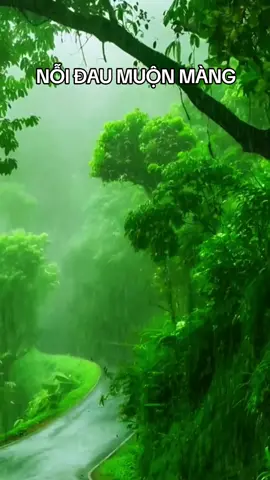 #thinhhanh #xuhuongtiktok2025 #anh_hai🇻🇳 