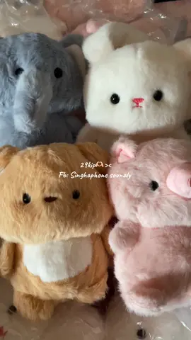 Order 🫶🏻📦#fypシ゚ #poukkie_store💕✨ #fyp #review 