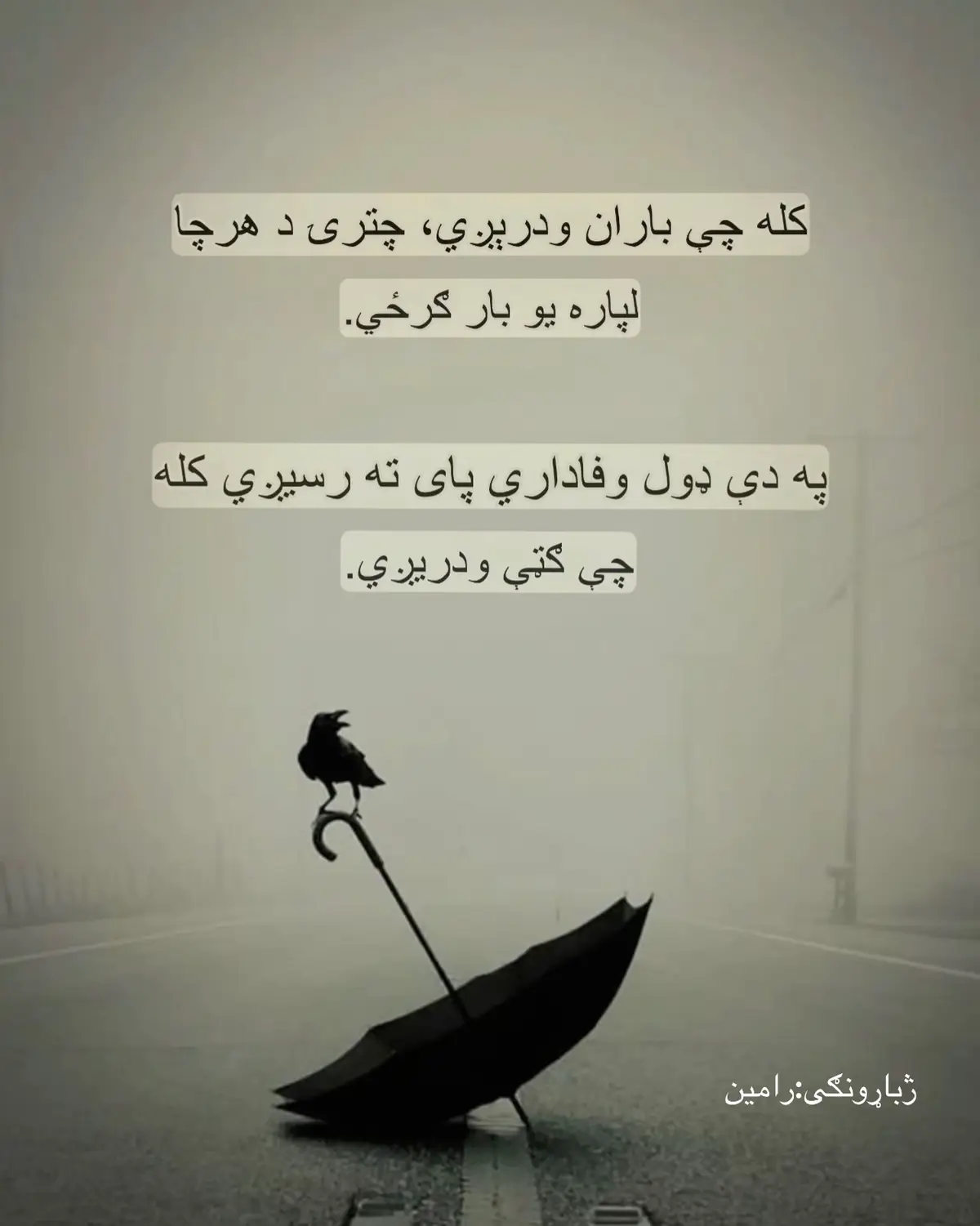 #پشتو_ژباره🇦🇫 #ژباړونګی_رامین 