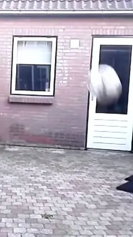 Funny soccer fails😂🤣#funny #funnyvideos #Soccer #fail #when 