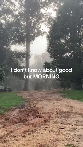 Morning!