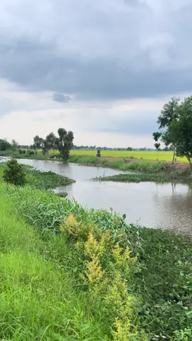 Chiều ra đồng hóng gió bao mat##binhyen 