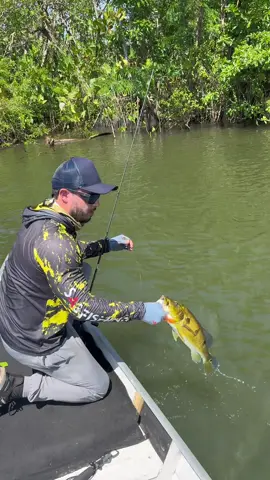 Skippando firme com as linhas fishermans.com.br até que…. 💥 Aquele pinima sai voando da estrutura com um cardume atrás! Mas adivinha quem NÃO filmou a cena? 😤 Meu cameraman, que tava vendo passarinho em vez de peixe kkkkk Pelo menos a linha não decepcionou: resistência absurda, maciez que ajuda demais no arremesso e sai do carretel que é uma beleza. No skipping, isso faz TODA a diferença! #FishermansLines #TucunaréPinima #SkippingNaVeia #PescaComHumor #EstruturaÉMeuLugar