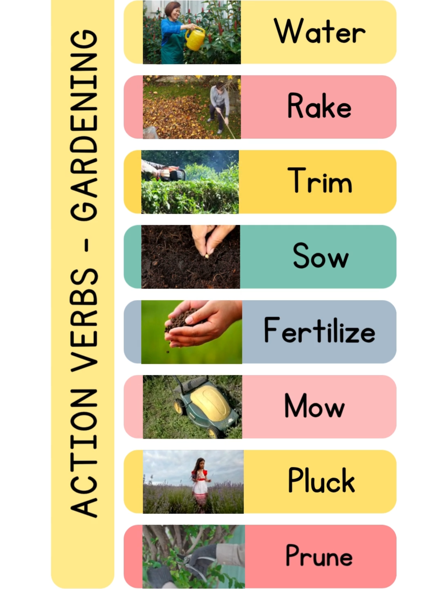 Gardening Action Verbs #learnenglish #dailyuseenglish #englishvocabulary #gardening #actionverbs #foryoupage❤️❤️