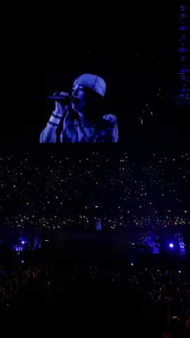 Wildflower hit different. Still got goosebumps. 🌸✨ @BILLIE EILISH  #billieeilish #billieeilishconcert #hmhas #wildflower #billieeilishfan 