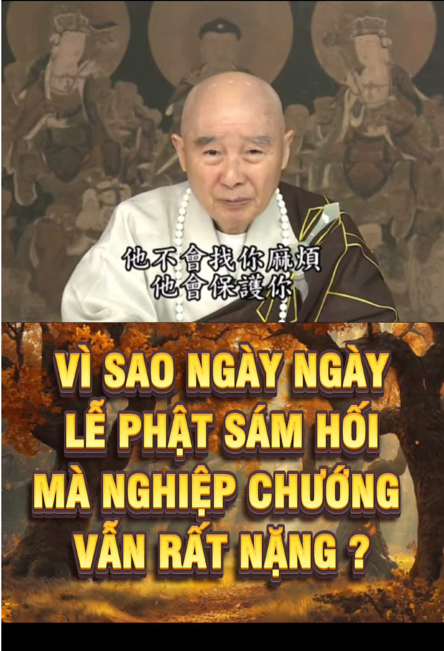 Người học Phật ngày ngày lễ lạy, ngày ngày sám hối, vì sao nghiệp chướng vẫn rất nặng ? #nammoadidaphat #adidaphat  #hoathuongtinhkhong #phapsutinhkhong #phatphapnhiemmau #phatphap #phat #phatgiao #phatphapvobien #phậtphápnhiệmmầu #phậtpháp #phật #phậttạitâm #phatphapvadoisong #phapmontinhdo #niemphat #niemphatvangsanh #chepkinhdiatang #kinhdiatang #diatangvuongbotat #quantheambotat #anchay #nhanqua #giacngo #thuongan2019 #LearnOnTikTok #fyp 