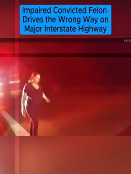Part 2 | Impaired Convicted Felon Drives the Wrong Way on Major Interstate Highway #cops #copsoftiktok 