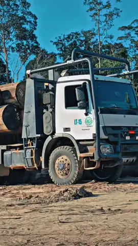 dunia perbalakan 🔥🚀 #logingkalimantan #ptsikatanwanaraya #actros4043🤙 #fyp #promoseruweekend 