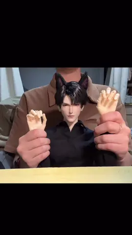 I'm late to this trend 🥲 #fyp #bjd #fypシ 