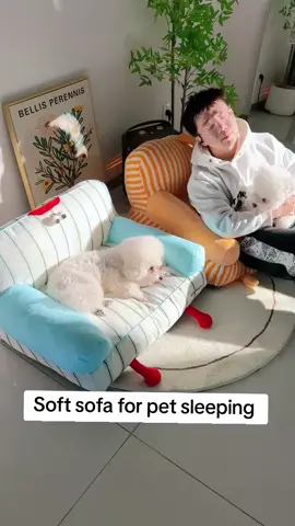 #dogownersoftiktok #cutepetgoodies #dogsaccessories #bichonfrisé #PetParentEssentials 
