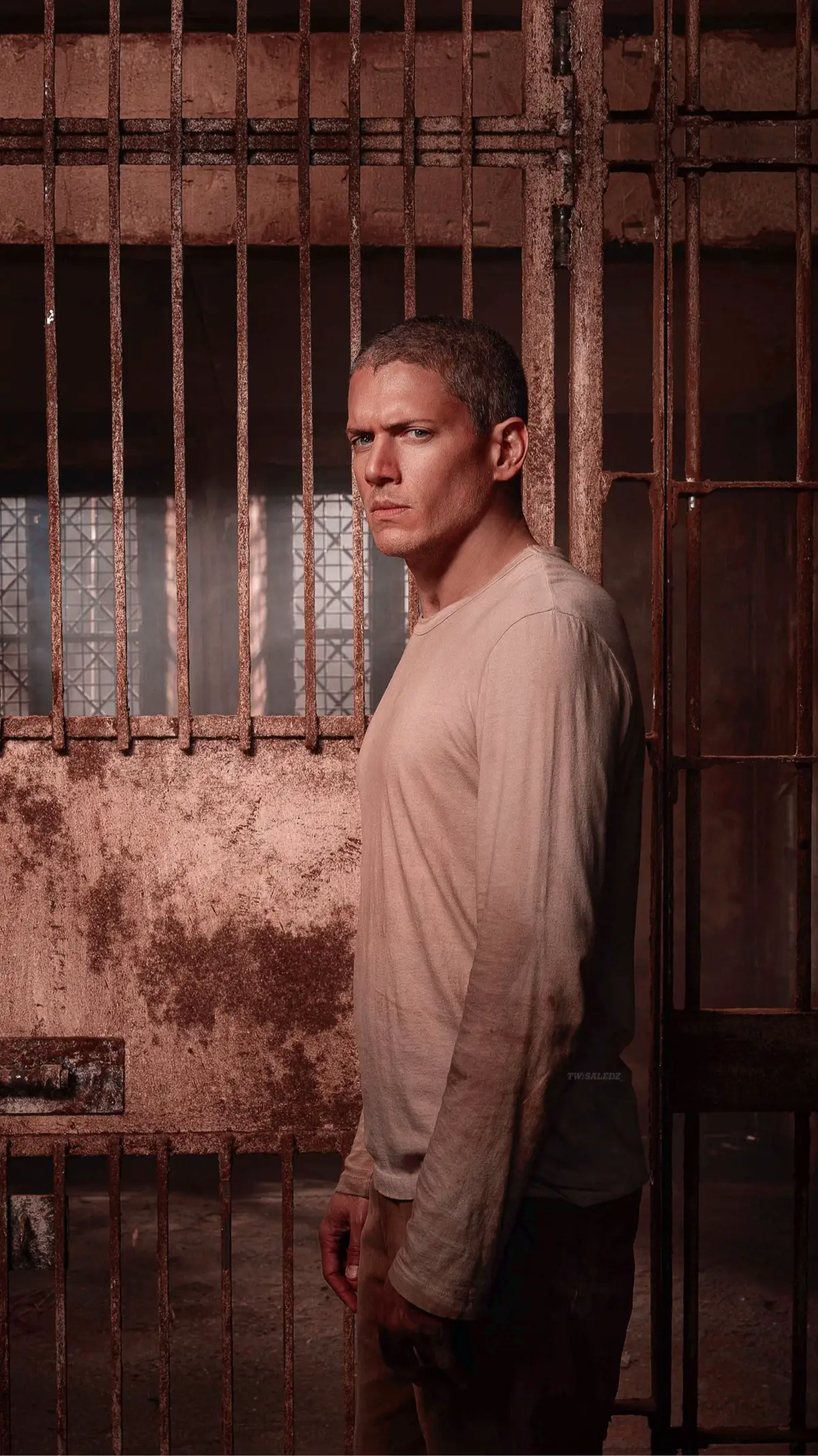 #wallpapers #prisonbreak #michaelscofield #series #fyp #viral 