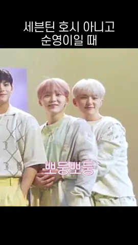 [세븐틴] 순박한 순영이 모먼트 [출처] 210619 놀라운 토요일 165회  IN THE SOOP SEVENTEEN ver. Season2 EP5 고잉세븐틴 EP.117 하루 만에 건너라니 이건 너무한 거 아니냐고! 2 (We Have to Cross Over in a Day? Are You Being Serious Right Now?! 2) 나나민박 EP2-2 (풀버전) 고잉세븐틴 EP.42 세븐틴사이드 아웃 Ⅱ 1 (SVTSIDE OUT Ⅱ 1) 240112 위버스 라이브 나나투어 1-1 세븐틴을 속여라 고잉세븐틴 EP.17 발마구마구 2 (Kickball 2) [ETC]SEVENTEEN - 「ひとりじゃない」パフォーマンス映像ビハインド（part1) #세븐틴 #seventeen #짱캐럿 #호시 #hoshi 