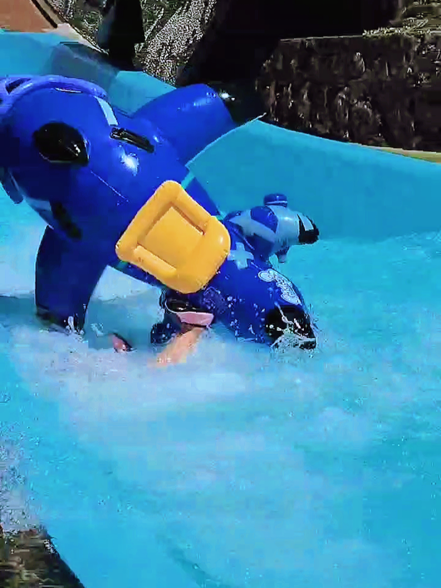 サメライドが逆に進むバグ…と言いたかったくだらない動画 #スプラトゥーン3 #サメライド #スプラ #夏休み #川遊び 