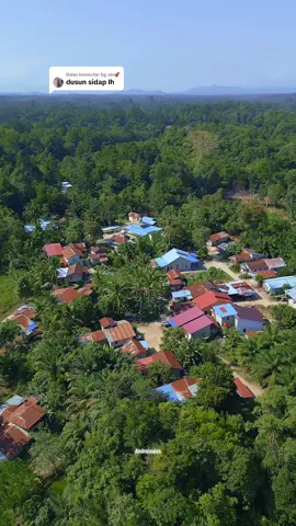 Membalas @bg vin🚀 Saya perkenal kan Dusun Sidap Desa Setawar Kecamatan Sekadau Hulu Kab Sekadau.#dronevideography#droneshot #fyppppppppppppppppppppppp 