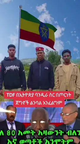 TDF በኢትዮጵያ ባንዲራ ስር በጦርነት ጀግኖች ልንባል አንፈልግም የኢትዮጵያ መንግስት እንደዝህ ያሉትን ድንቅ ወጣቶች በ DDR እያካተተ ለሰላማችን ተግቶ እንደሚሰራ አምናለሁኝ። Stop war