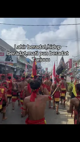 #fyppppppppppppppppppppppp #akudayak🌾🇧🇪 #tbbr🇩🇪💪🌾🤝 